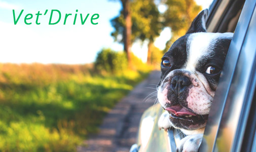 vetdrive