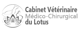 logo lotus