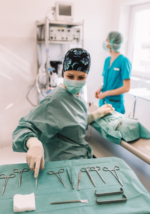 chirurgie vétérinaire orthopedique